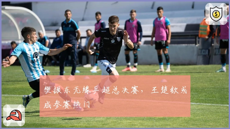 樊振东无缘乒超总决赛，王楚钦或成参赛热门